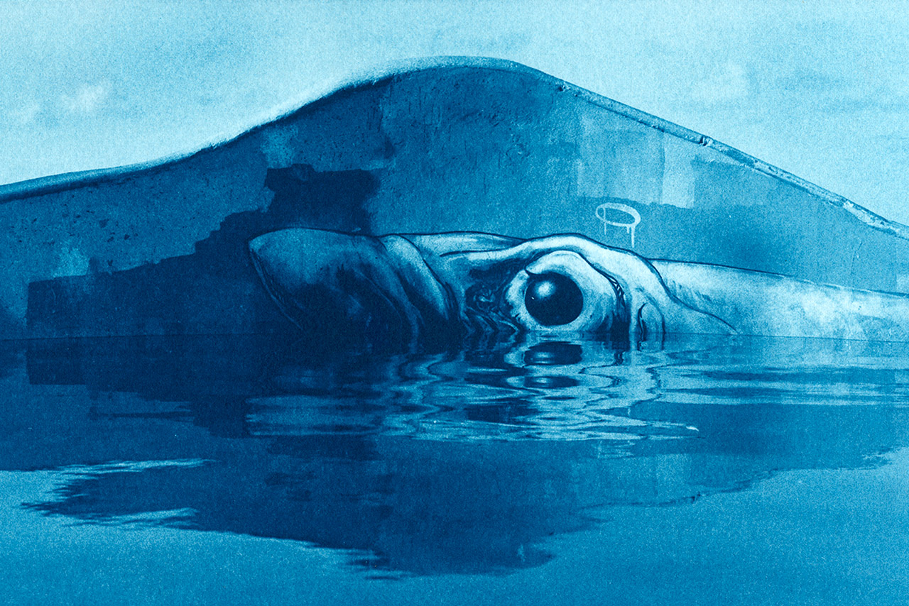 Ware Cyanotype - Creative B&W Darkroom & Alternative Processes © Daniel Goudrouffe