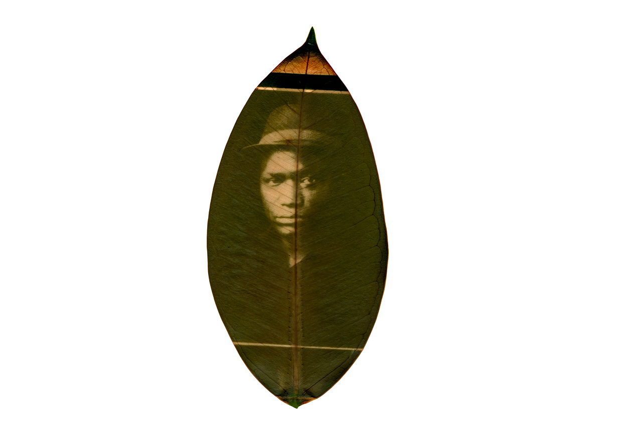 Chlorophyll print - Creative B&W Darkroom & Alternative Processes © Daniel Goudrouffe