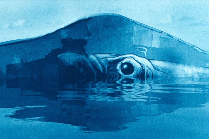 Ware Cyanotype - Creative B&W Darkroom & Alternative Processes © Daniel Goudrouffe